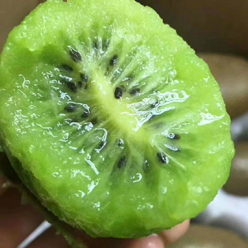 【需催熟】西域美农 徐香绿心猕猴桃  酸甜有味儿 好熟好吃