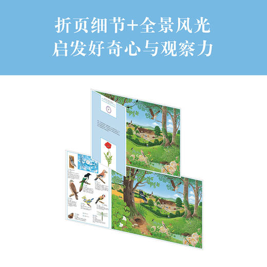 《大自然》3册套装 商品图3