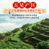 传奇会茶叶 特级清香型无农残安溪铁观音 五星经典特级兰花香铁观音500g礼盒装 商品缩略图7
