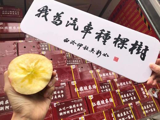 “2021我为汽车种棵树”整种果树（测试用，勿拍） 商品图0