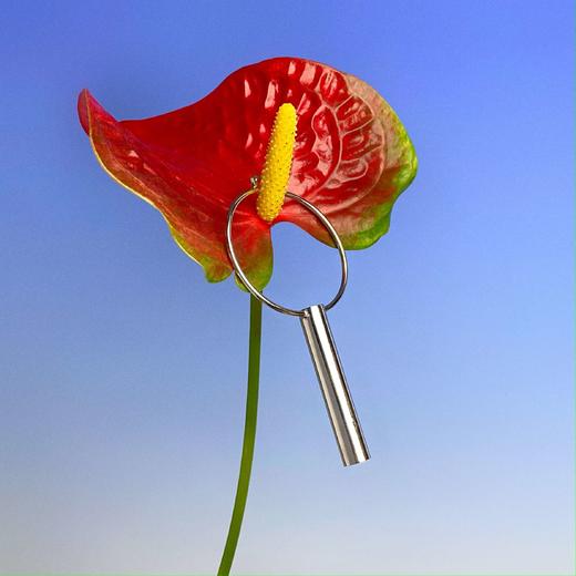 Smoking Kills 概念设计美金烟管hoop耳环简约中性未来感情侣耳圈 商品图3