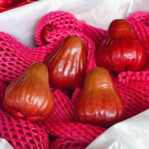 【巴掌】台湾黑糖芭比莲雾,莲雾里面最甜品种,它叫黑糖芭比,老少皆宜