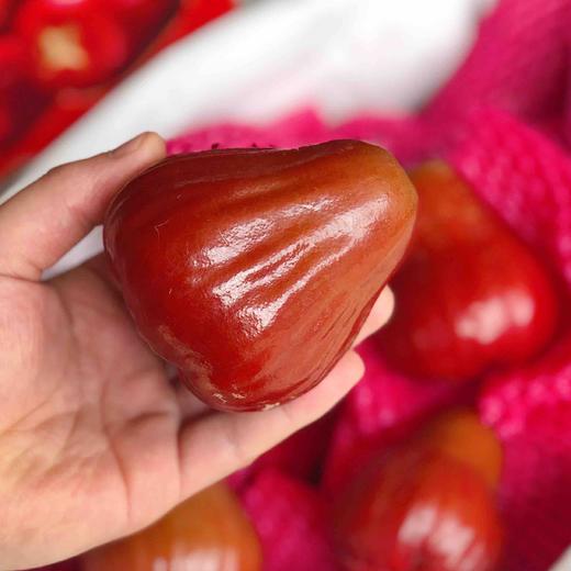 【巴掌】台湾黑糖芭比莲雾,莲雾里面最甜品种,它叫黑糖芭比,老少皆宜