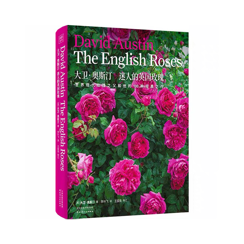 紫图生活美学系列：大卫·奥斯汀 迷人的英国玫瑰