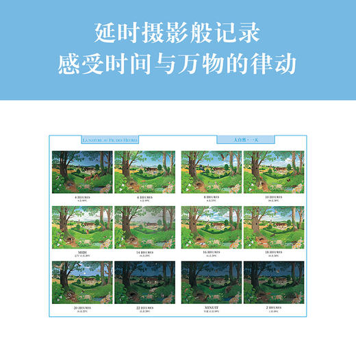《大自然》3册套装 商品图1