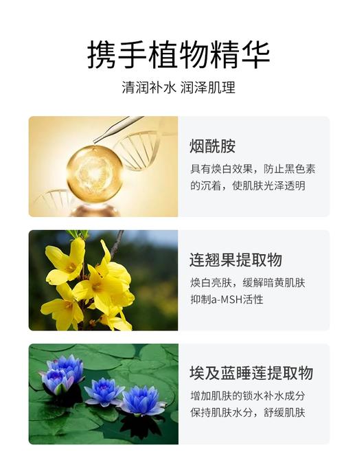 【买一送一】绿豆塑颜亮彩逆龄面膜 7片 商品图2