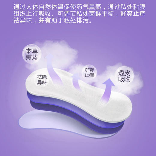 【买6送4】凤妍清雪莲“养”护护垫本草熏蒸私处舒爽祛除异味护宫养巢养护女性私处健康万千女性好闺蜜 商品图3