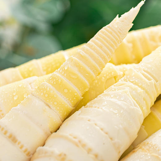 临安春笋|春天嫩爆的一茬！鲜得掉眉毛 商品图2