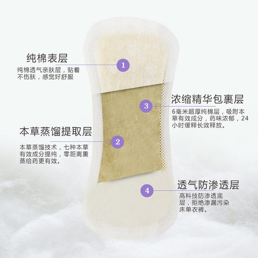 【买6送4】凤妍清雪莲“养”护护垫本草熏蒸私处舒爽祛除异味护宫养巢养护女性私处健康万千女性好闺蜜 商品图2