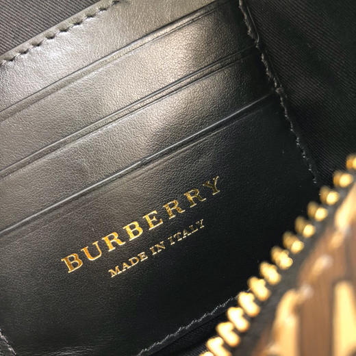 B家专属标识条纹相机包 商品图7