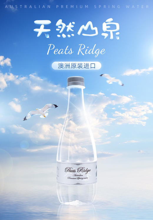 澳洲彼德瑞吉天然泉水-弱碱性低钠水500ml-会员6折 商品图0