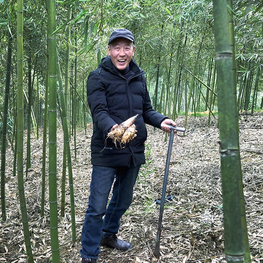 产地直发 临安天目山雷笋5斤装16-20根 商品图10