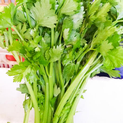 社区团购 凤归巢邹平基地 蔬菜 三种规格可选 5斤装包邮 商品图3