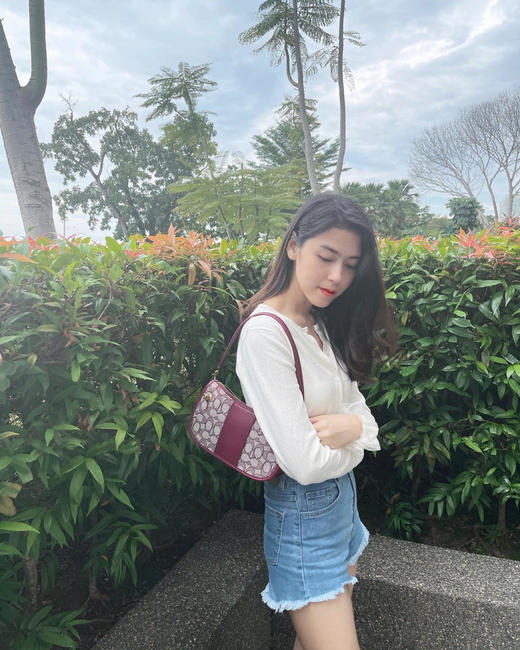 coach swinger麻将包腋下包-蓝色/酒红 商品图0