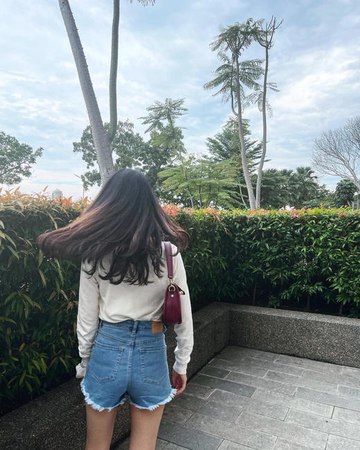 coach swinger麻将包腋下包-蓝色/酒红 商品图2