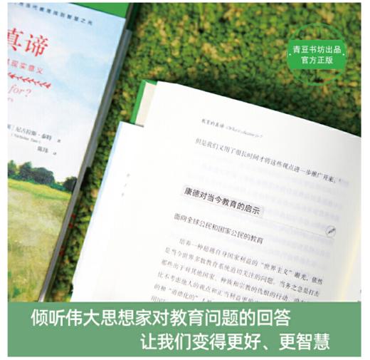 大家教育经典系列：教育的真谛：伟大思想家的观点及其现实意义 商品图3