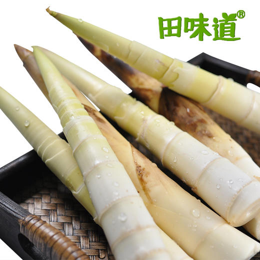 产地直发 临安天目山雷笋5斤装16-20根 商品图2