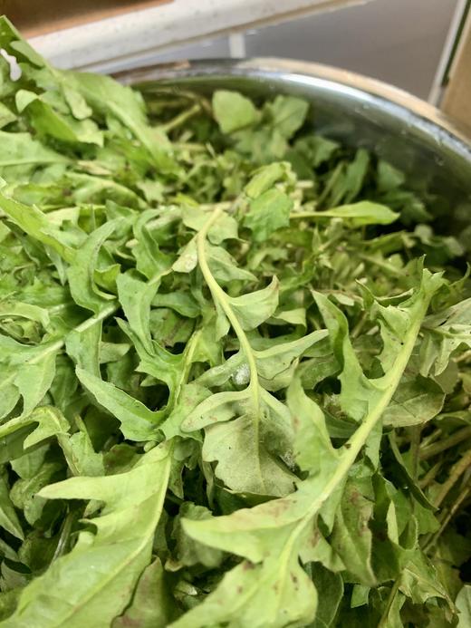 野生荠菜3斤装 商品图0