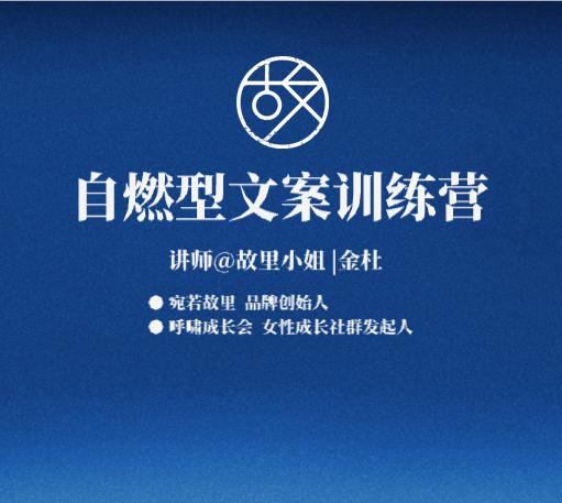 【文案课】既能诗和远方，又能月入10万，找到一条万人共鸣的爆款产品文案公式 商品图0