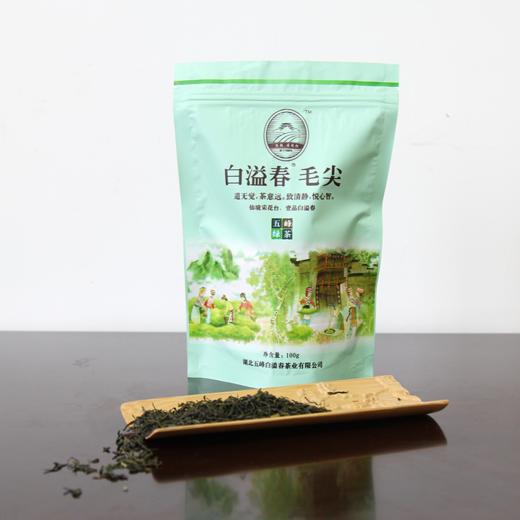 【宜昌助农馆】五峰白溢春毛尖 100克/袋 商品图2