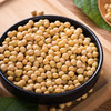 【专享福利】河北农家自产精品黄豆1500克 商品缩略图3