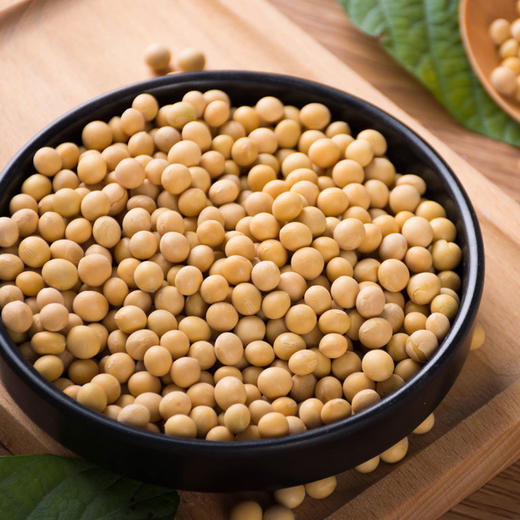 【专享福利】河北农家自产精品黄豆1500克 商品图3