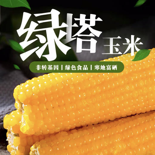东北绿塔富硒非转基因甜糯玉米苞米棒蔬菜