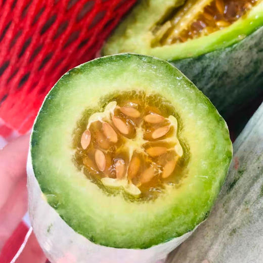 【春季头茬羊角蜜甜瓜】 脆嫩多汁甜且无渣  汁水丰盈 形似羊角 口感如蜜 商品图5