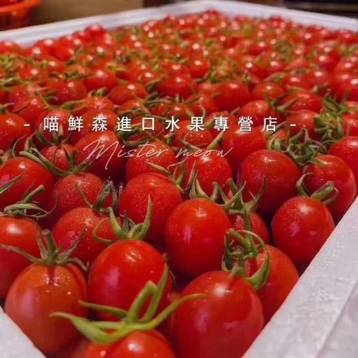 🛵爆浆【樱桃千禧果】mini清甜圣女果 商品图5