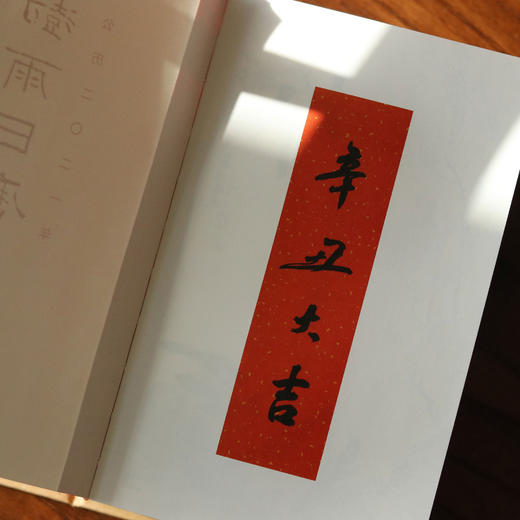 澍雨日历·辛丑年历丨春天的礼物 商品图6