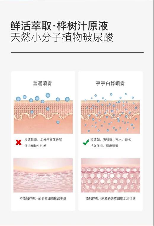【白桦树汁补水保湿喷雾】含量高达97%　亭亭白桦　天然小分子补水祛痘印植物精华 商品图6