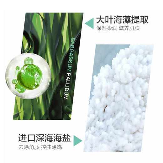 柏缇（POTE）海盐净透沐浴露 留香男女后背除螨氨基酸沐浴露 475ml 商品图7