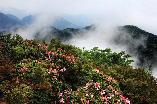 4月24日确定出发广西·猫儿山杜鹃花海、漓江源大峡谷、兴安水街4天 商品图2