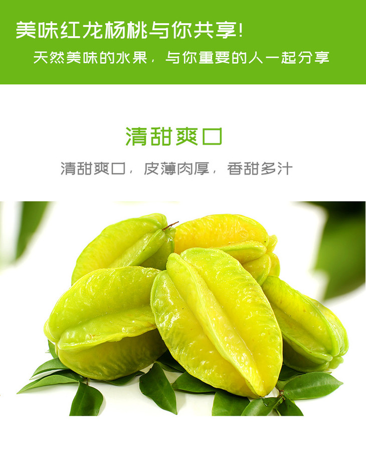 1688红龙杨桃详情_04