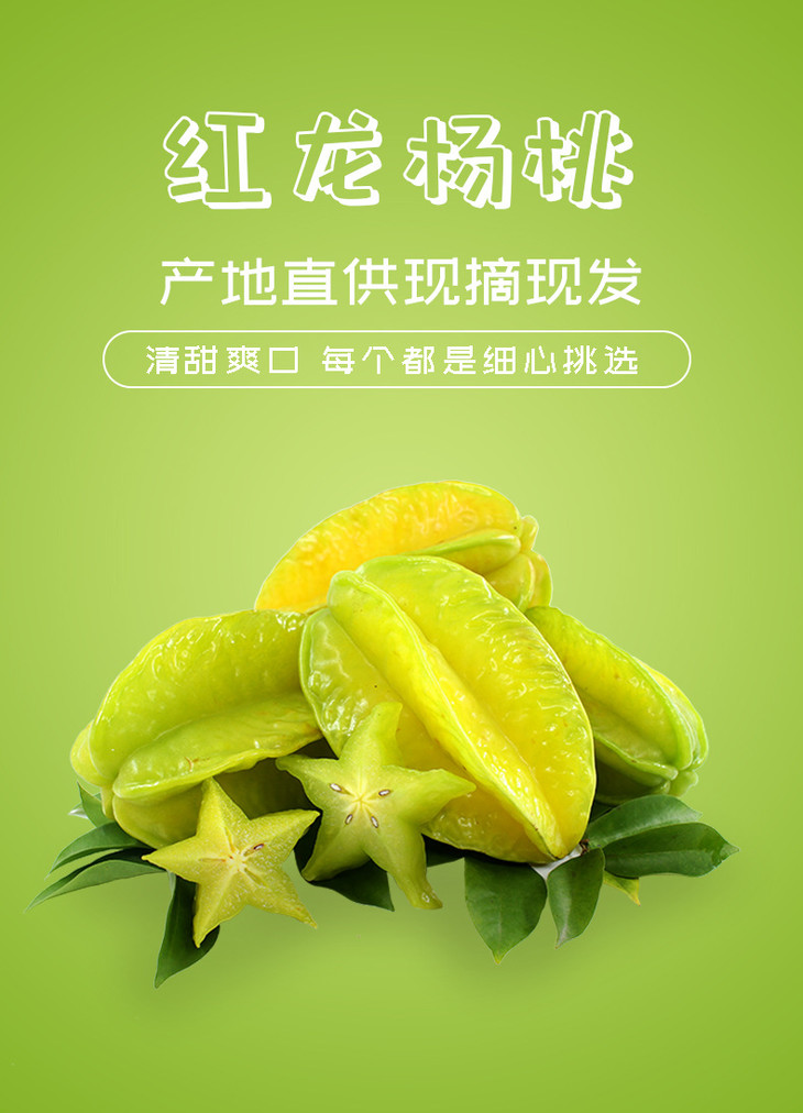 1688红龙杨桃详情_01