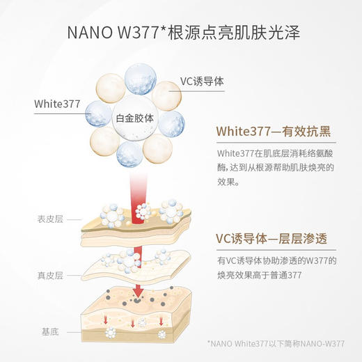 城野医生 VC377精华液 6g 商品图2