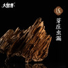 【大智慧】15号芽庄虫漏沉香 八星级 商品缩略图4