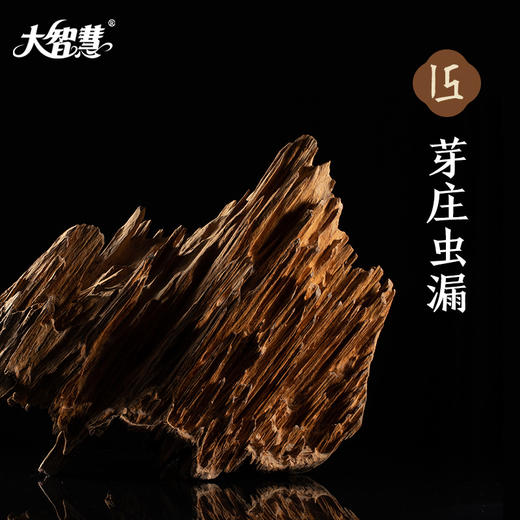【大智慧】15号芽庄虫漏沉香 八星级 商品图4