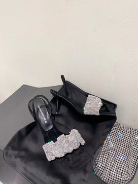 Alexande* Wang 2021/aw 绝美高跟