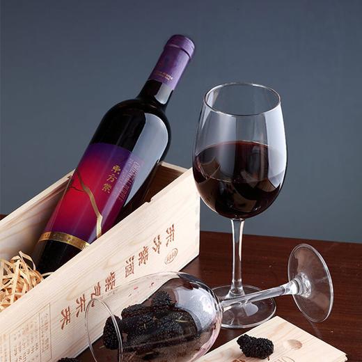 东方紫酒 一紫独秀干型750ml桑葚低度果酒 商品图1