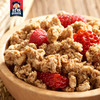 荷兰进口 QUAKER 桂格水果干谷物粒即食燕麦片500g*2盒 商品缩略图4