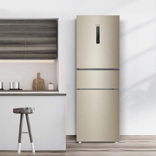海尔（Haier）冰箱BCD-252WXPS 商品图0