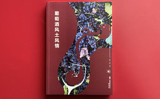 《三联生活周刊》预定（2024年全年预定，共52期） 商品图6