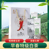 【宜昌助农馆】昭君碧玉特级白茶 100g*5袋/提 商品缩略图1