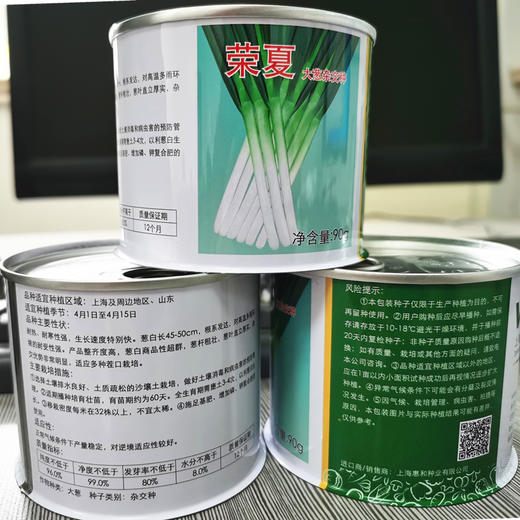 [专业种子] “荣夏”大葱种子 商品图1