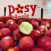 新西兰POSY小花苹果 商品缩略图9