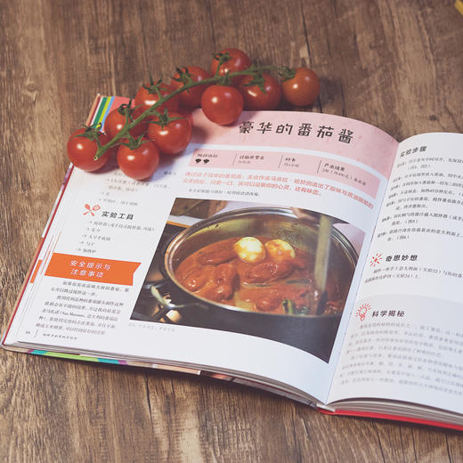 【7-10岁】给孩子的食物实验室 给孩子的实验室系列 儿童科普 商品图5