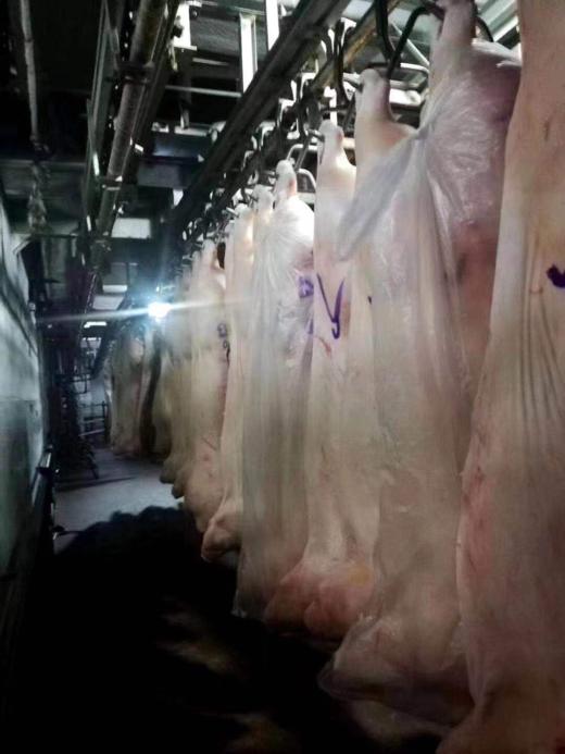 通州厂 大红门白条50kg 商品图2