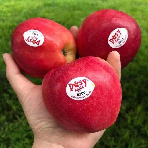 新西兰POSY小花苹果 商品图6