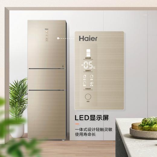 海尔（Haier）冰箱BCD-232WFCO 商品图0